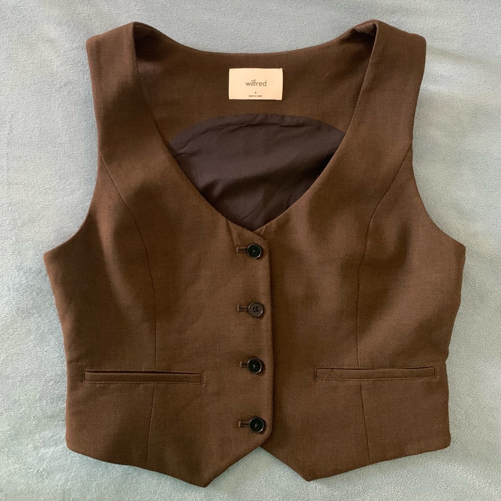 Aritzia Desire Vest